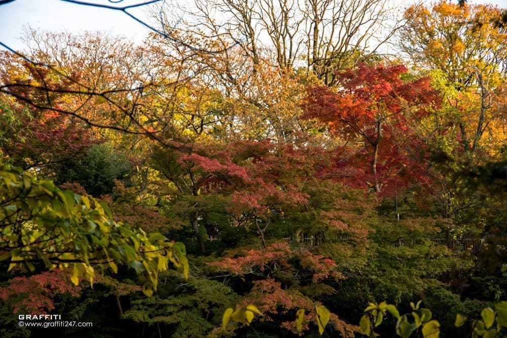 20171103_06.jpg