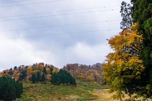 紅葉の宇奈月スノーパーク