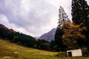 紅葉の宇奈月スノーパーク